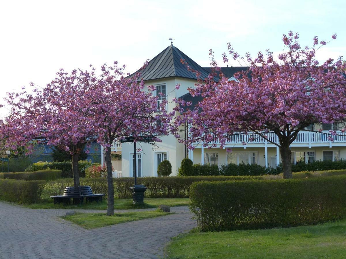 Duenenpark In Binz Fuer Eltern Und Kind Apartment ภายนอก รูปภาพ